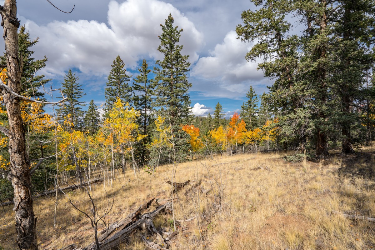 3 Acres Of Beautiful Land On Indian Mountain, Colorado The True Land CO.