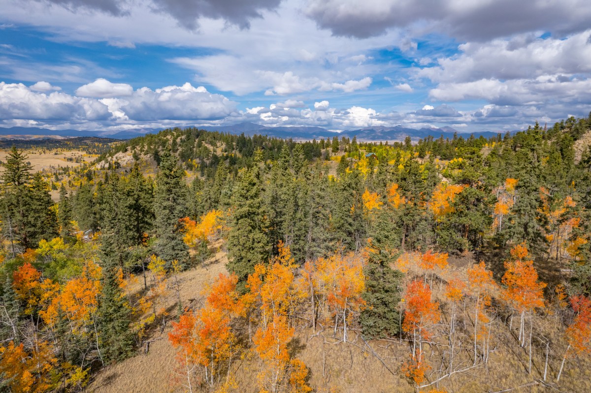 3 Acres Of Beautiful Land On Indian Mountain, Colorado The True Land CO.