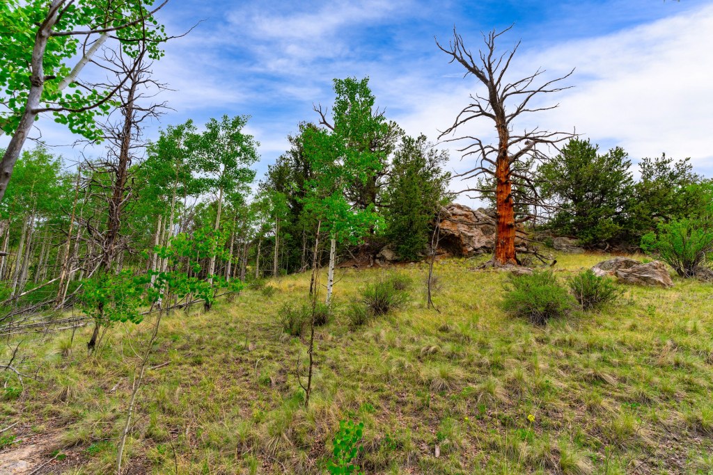 2 x 3 Acres Of Stunning Land On Indian Mountain, Colorado The True